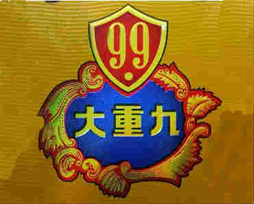 大重九logo图片